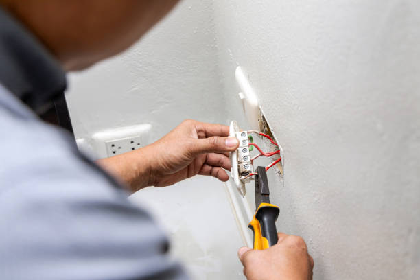 Best Electrical System Inspection  in Baileyton, AL